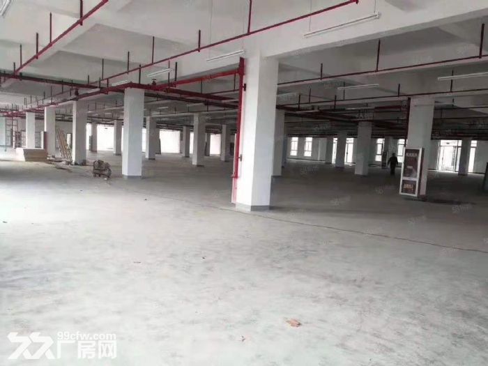 园区政策力度大，配套设施完善