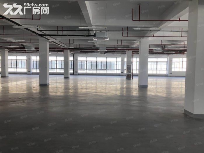 城南政府园区各大面积大小厂房，仓库办公室对外出租，消防已过，环评已过-图7